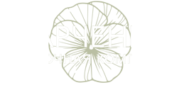 Гейхера и гейхерела